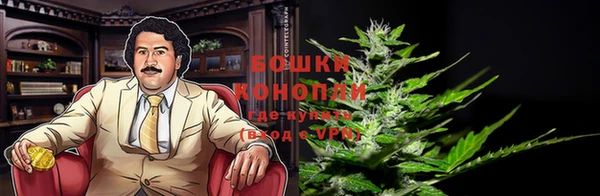 мяу мяу мука Инта