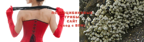 мяу мяу мука Инта