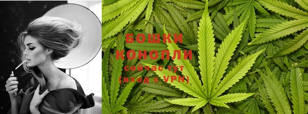 ECSTASY Заводоуковск
