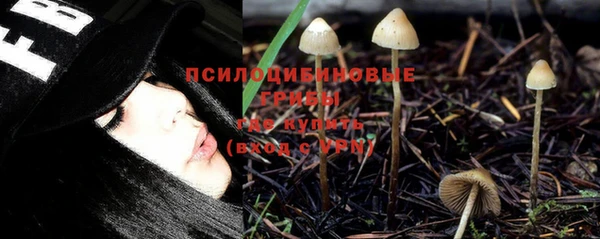 apvp Заволжск