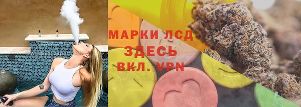 мяу мяу мука Инта