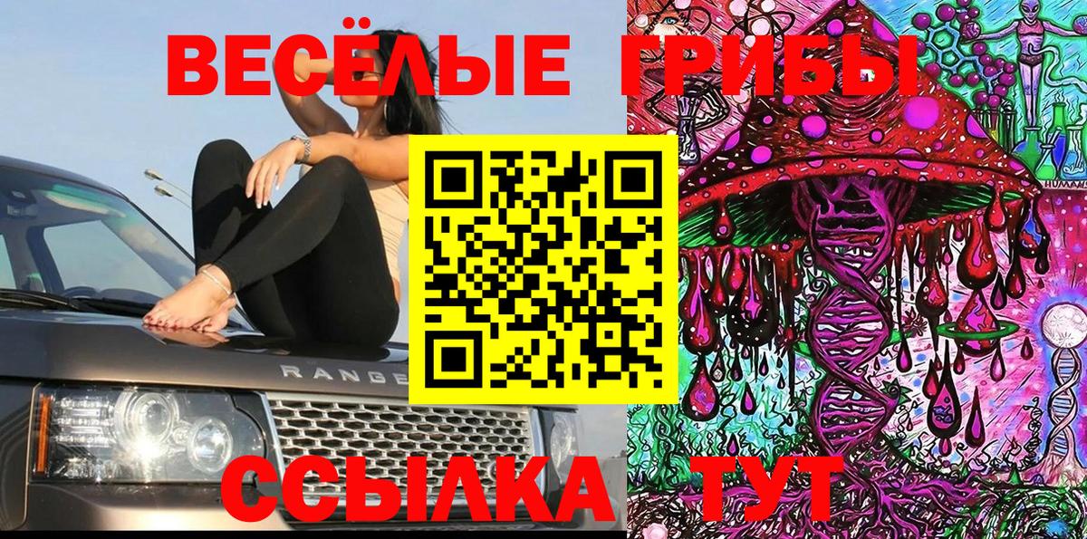 Псилоцибиновые грибы Psilocybe Красноармейск