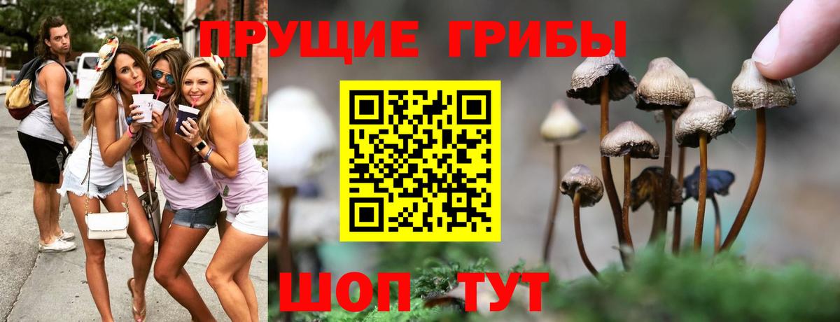 Псилоцибиновые грибы MAGIC MUSHROOMS  Вход с VPN  Красноармейск 